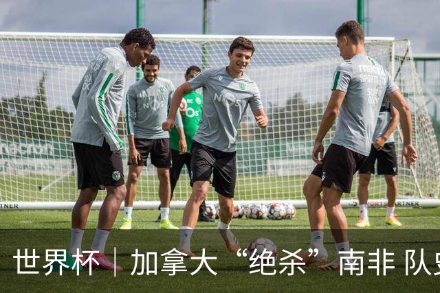 世界杯｜加拿大“绝杀”南非 队史首进16强