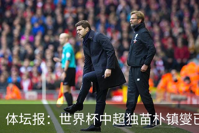 体坛报：世界杯中超独苗朴镇燮已回浙江队，增强球队中后场硬度