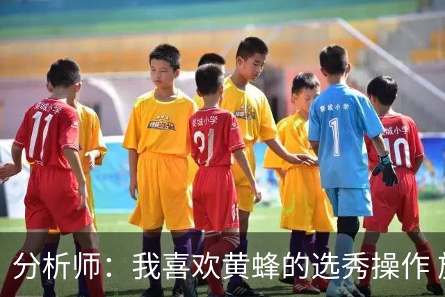 分析师：我喜欢黄蜂的选秀操作 施泰因巴赫简直是个内线巨兽